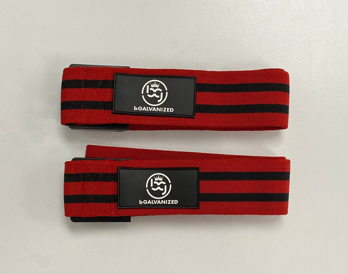 bGalvanized BFR Leg Bands